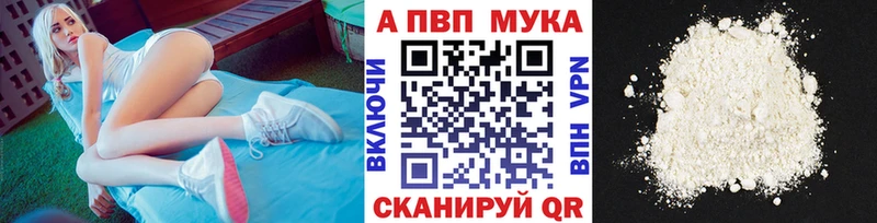 kraken как зайти  Тайшет  Альфа ПВП СК 