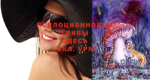 дурь Алексин