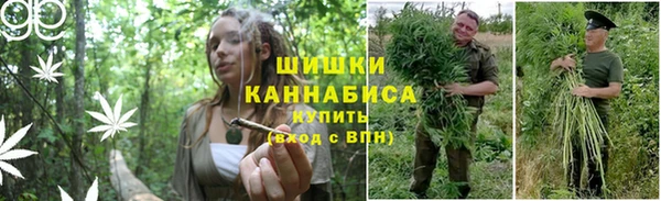 наркотики Новодвинск