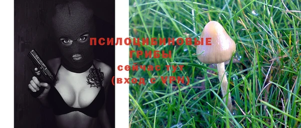 MESCALINE Алзамай