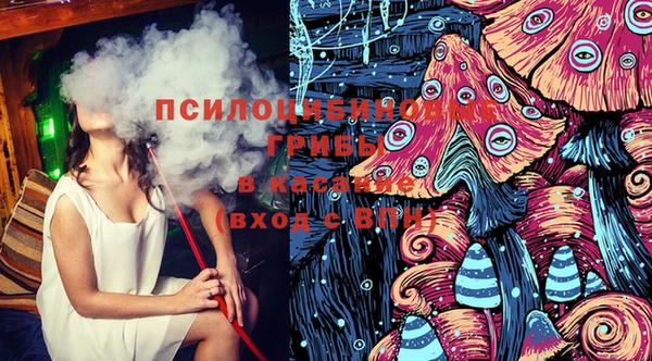 дурь Алексин