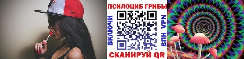 Галлюциногенные грибы Psilocybe наркота Тайшет